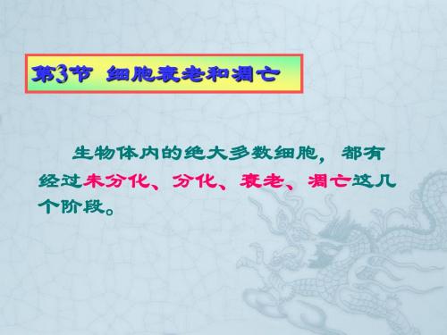 高中生物第六章细胞的衰老和凋亡课件人教版必修一