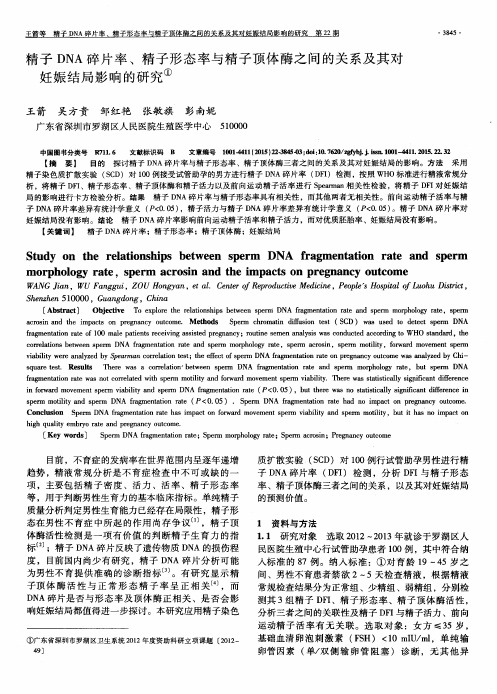 精子DNA碎片率、精子形态率与精子顶体酶之间的关系及其对妊娠结局