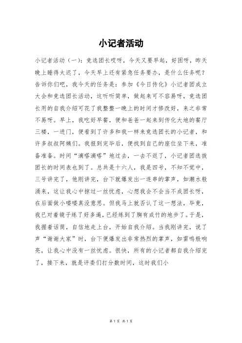 小记者活动_高三作文