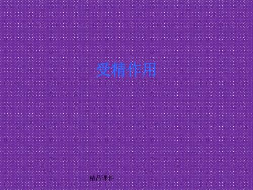 《受精作用》课件5(29张PPT)(中图版必修2)