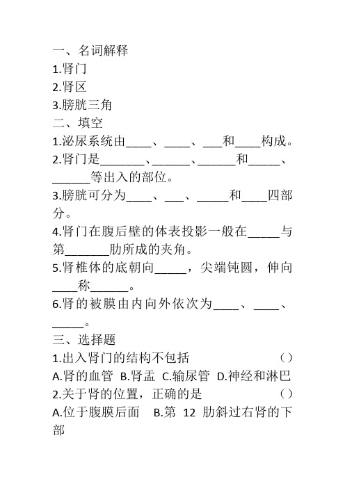 泌尿系统课后练习