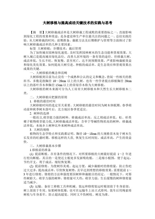 大树移植与提高成活关键技术的实践与思考