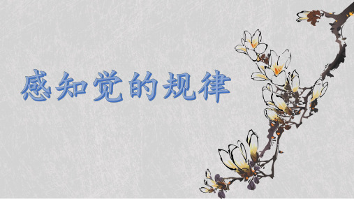 《心理学》感知觉的规律
