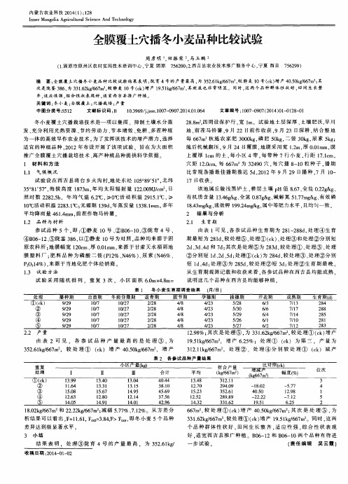 全膜覆土穴播冬小麦品种比较试验