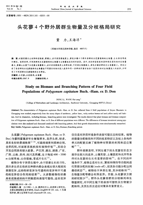 头花蓼4个野外居群生物量及分枝格局研究