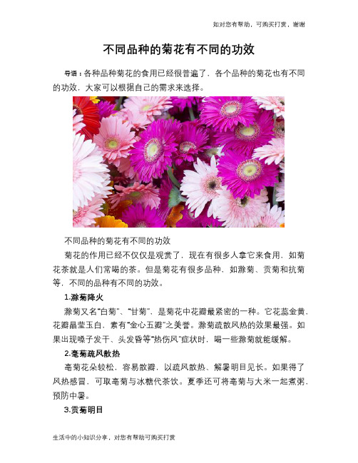 不同品种的菊花有不同的功效