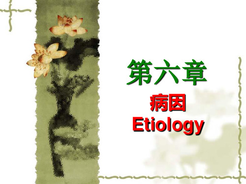 中医基础理论—病因