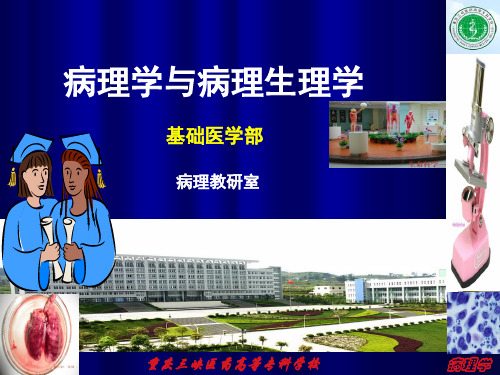 《钾代谢紊乱》ppt课件