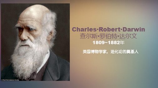 Darwin  达尔文介绍