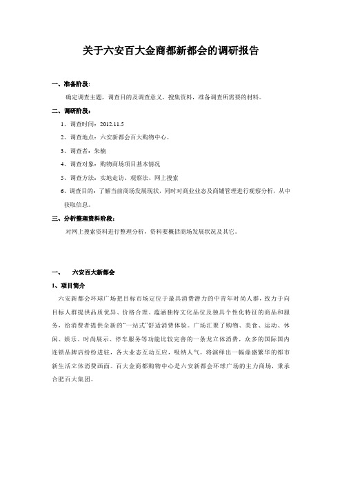 关于六安百大金商都新都会的调研报告