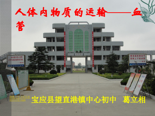 《人体内物质的运输──血管》 课件