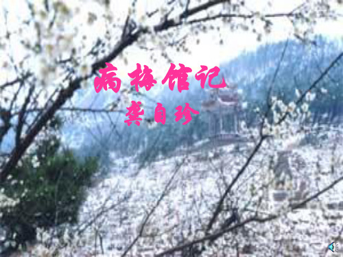 病梅