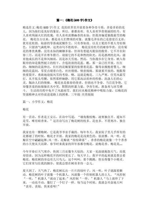像梅花那样生活600