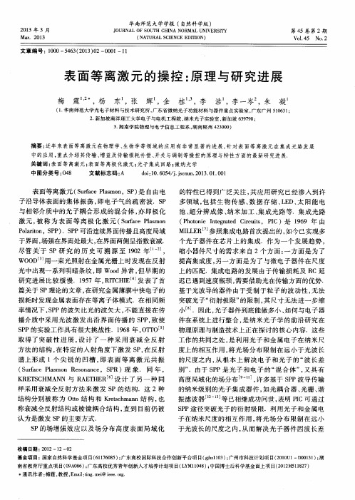 表面等离激元的操控：原理与研究进展
