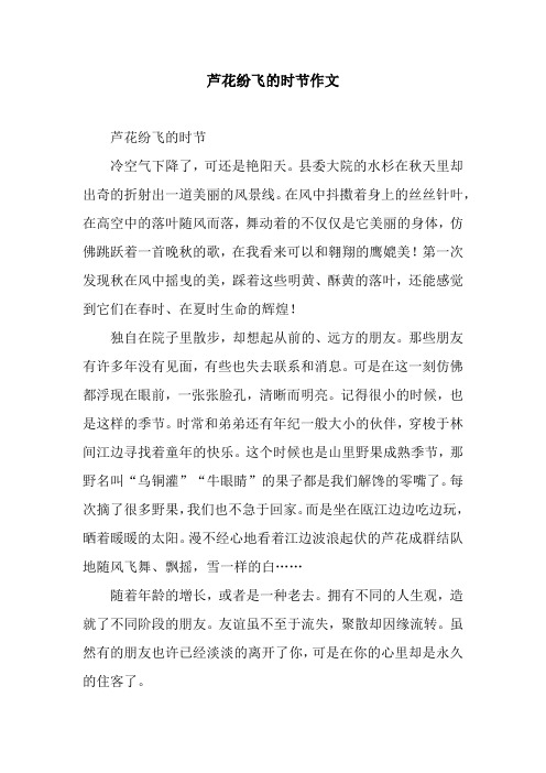 芦花纷飞的时节作文