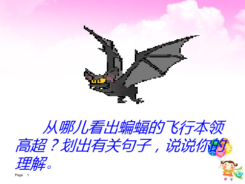 11.蝙蝠和雷达