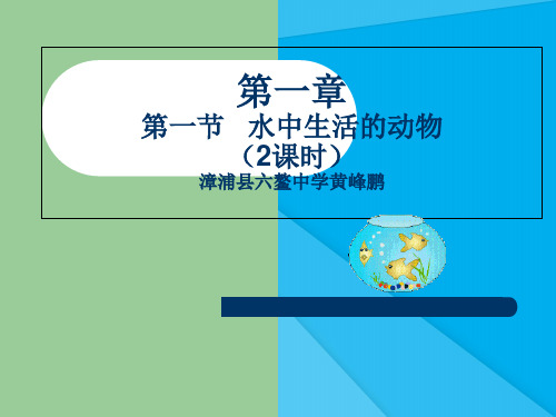 水中生活的动物PPT课件 人教版优秀课件