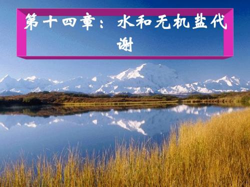 水无机盐代谢