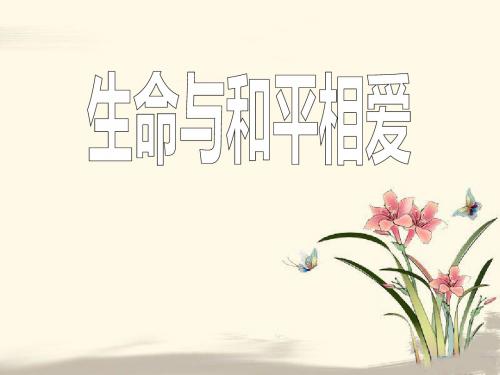 《生命与和平相爱》精品ppt课件3