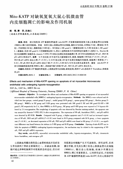 Mito—KATP对缺氧复氧大鼠心肌微血管内皮细胞凋亡的影响及作用机制
