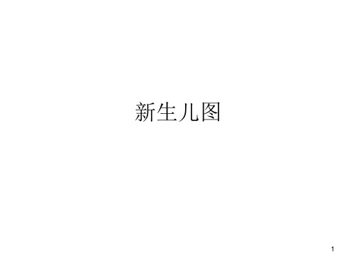 新生儿图片PPT课件