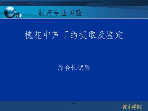 槐花中芦丁的提取及鉴定