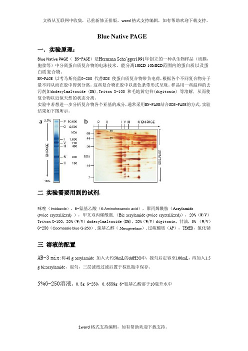BluenativePAGE实验讲义