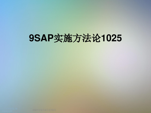 9SAP实施方法论1025