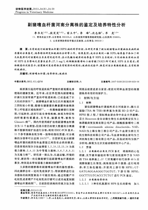 副猪嗜血杆菌河南分离株的鉴定及培养特性分析
