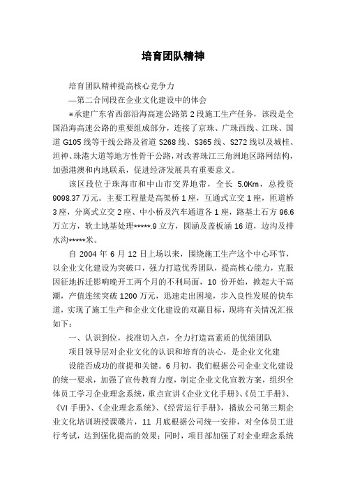 培育团队精神