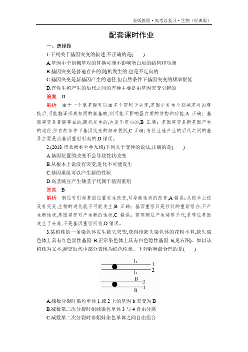 金版教程高考总复习生物(经典版)复习讲义必修2第七单元第22讲配套课时作业