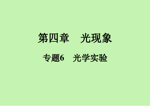 第4章  专题6 光学实验   课时巩固  21--22学年人教版八年级物理上册