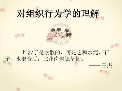 对组织行为学的理解(2)