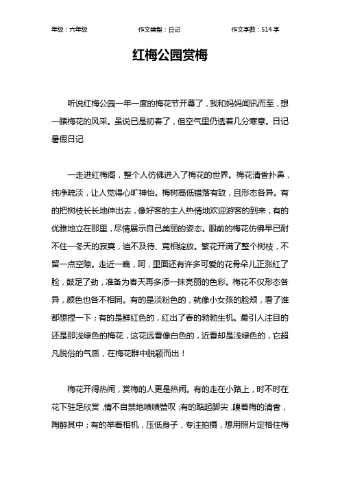 红梅公园赏梅作文【小学六年级500字】