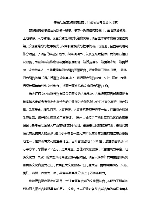 伟光汇通旅游投资招商,什么项目符合当下形式