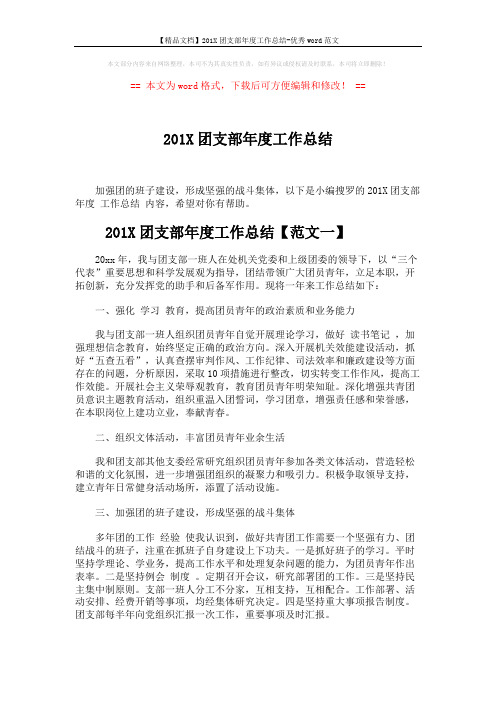 【精品文档】201X团支部年度工作总结-优秀word范文 (4页)