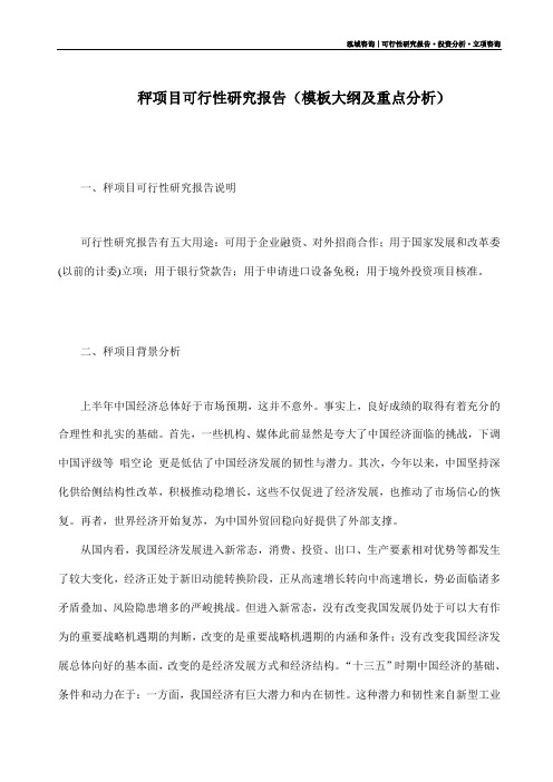 秤项目可行性研究报告(模板大纲及重点分析)