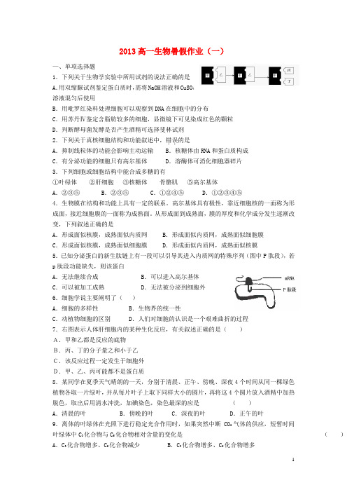 山东省高一生物暑假作业(一)