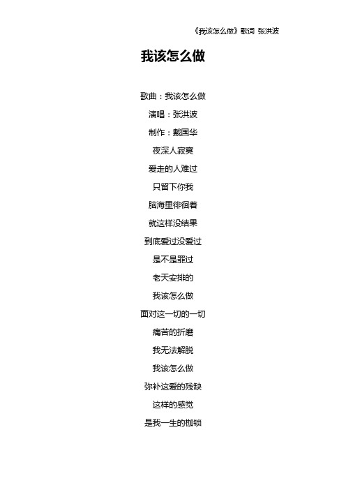 《我该怎么做》歌词 张洪波