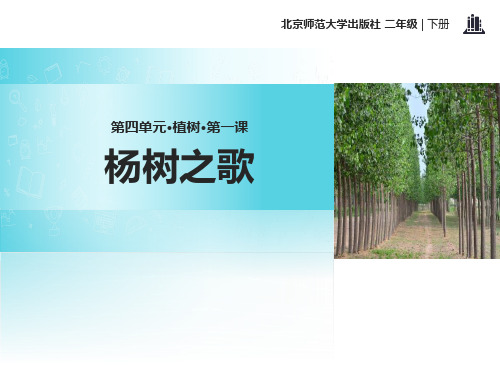 北师大版二年级语文下册《杨树之歌》PPT课件(5篇)