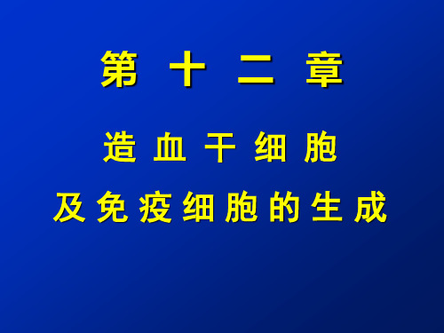 造血干细胞及免疫细胞的生成