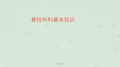 脊柱内固定课件