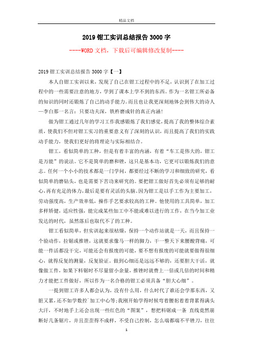 2019钳工实训总结报告3000字【完整版】