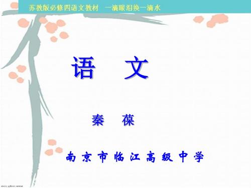 一滴眼泪换一滴水ppt25(说课) 苏教版