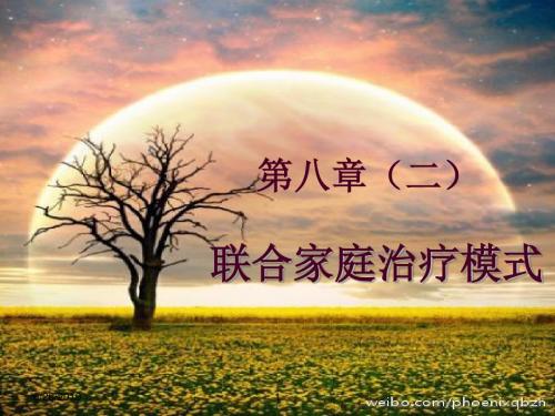 个案工作——萨提亚家庭治疗模式资料PPT课件