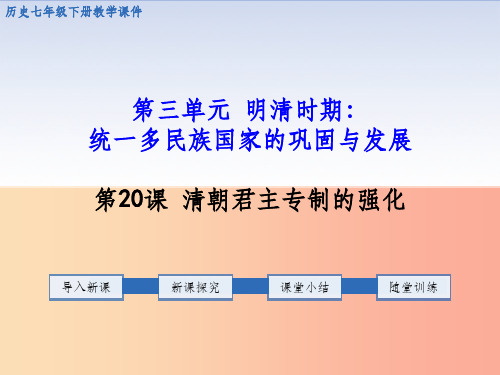 七年级历史下册第三单元明清时期：统一多民族国家的巩固与发展第20课清朝君主专制的强化教学新人教版
