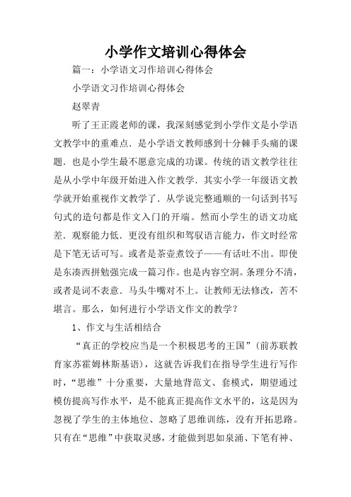 小学作文培训心得体会
