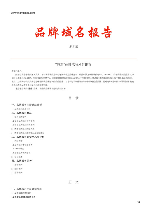 博熠的品牌域名分析报告