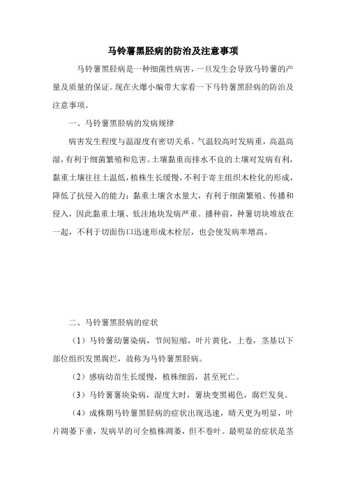 马铃薯黑胫病的防治及注意事项