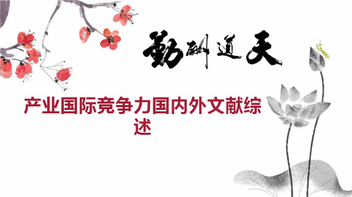 产业国际竞争力国内外文献综述